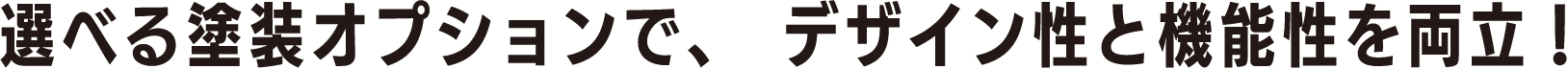 選べる塗装オプションで、デザイン性と機能性を両立！